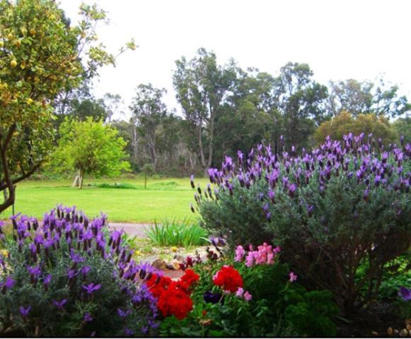 Erravilla Country Estate Spa Suite Accommodation Cowaramup Exterior photo
